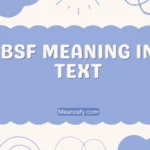 BSF Meaning in Text