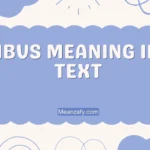 IBVS Meaning in Text