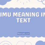 IMU Meaning in Text