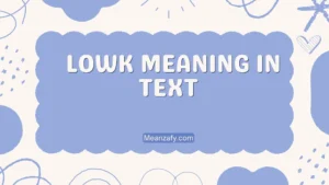 Lowk Meaning in Text