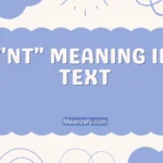 "NT" Meaning in Text