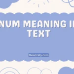 NVM Meaning in Text