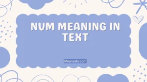 NVM Meaning in Text
