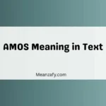 AMOS Meaning in Text