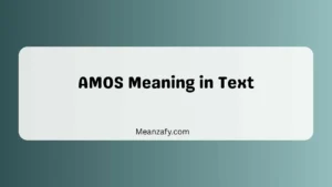 AMOS Meaning in Text