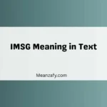 IMSG Meaning in Text