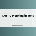 LMFAO Meaning in Text