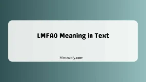 LMFAO Meaning in Text