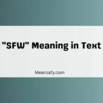 "SFW" Meaning in Text